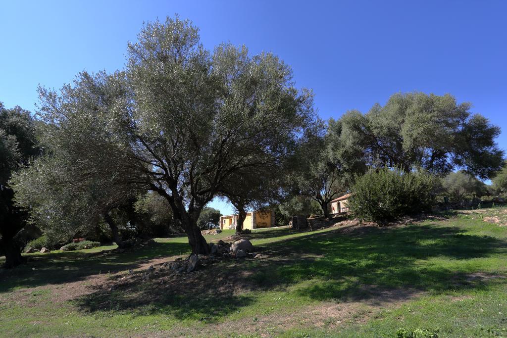 Liscia Country Relais ξενώνας Sant'Antonio di Gallura Εξωτερικό φωτογραφία